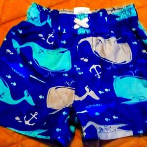 Boys 18 month Circo swimming trunks